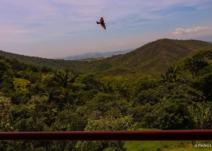 Hotel Chales Terra Nova